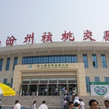 核桃仁2023年新品核桃仁二路25斤/箱