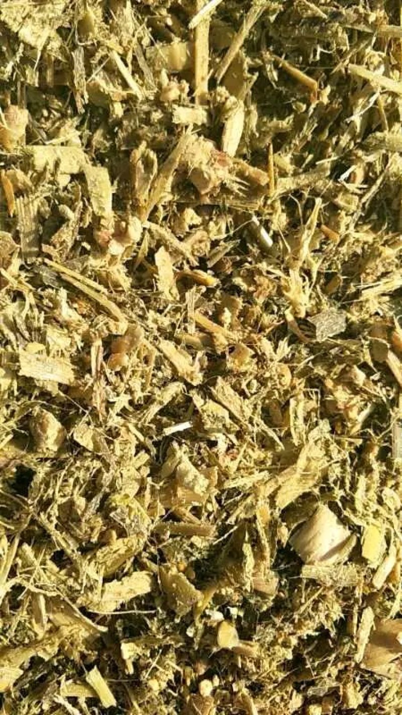 玉米秸秆青贮打包发酵全株