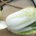 娃娃菜，云南陆良县娃娃菜，大娃娃菜，小娃娃菜都有现货，