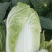 娃娃菜，云南陆良县娃娃菜，大娃娃菜，小娃娃菜都有现货，