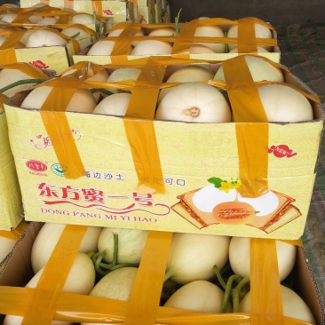 红肉脆梨