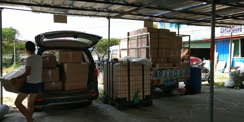 红罗非鱼苗/罗非鱼苗/珍珠白罗鱼苗/彩色罗非苗+技术指导