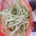 河南焦作博爱白不老质量上乘