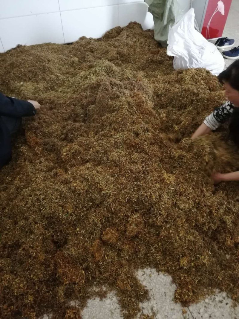 精选特级新货野生金银花色青，无硫，无沫，纯净金银花