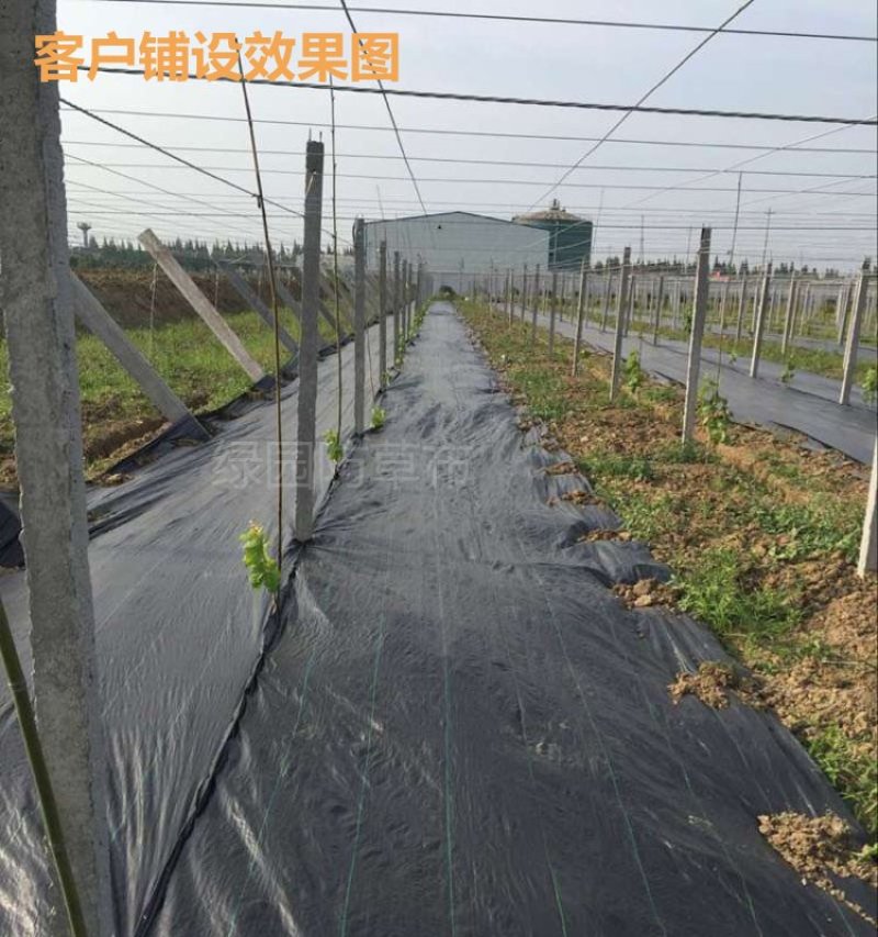 除草布