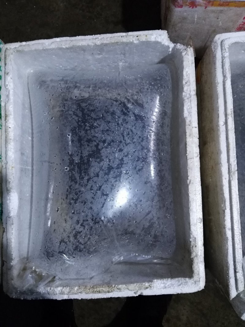 黄桑鱼