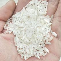 重庆米本地米优质稻籼米