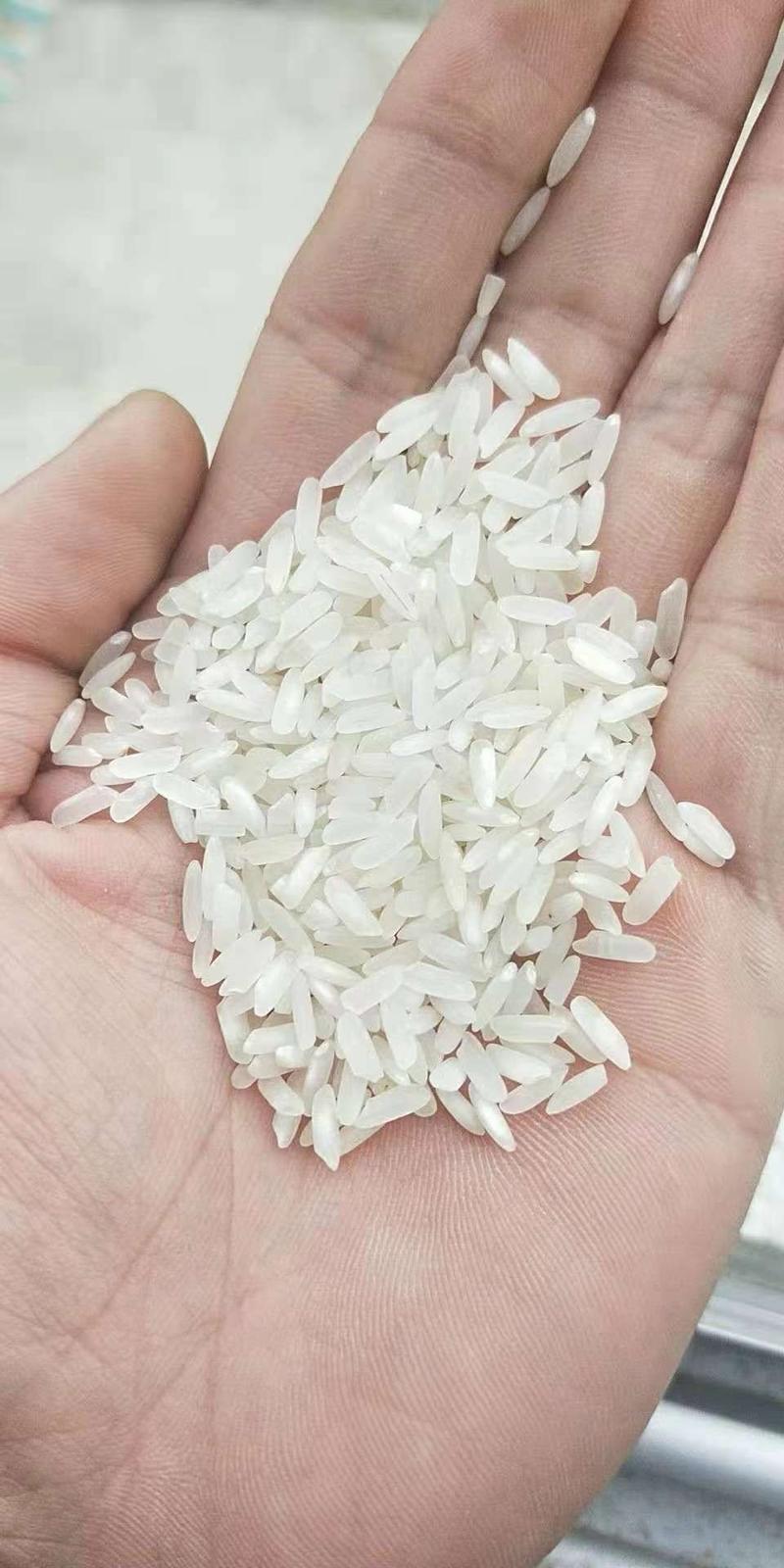 重庆米本地米优质稻籼米