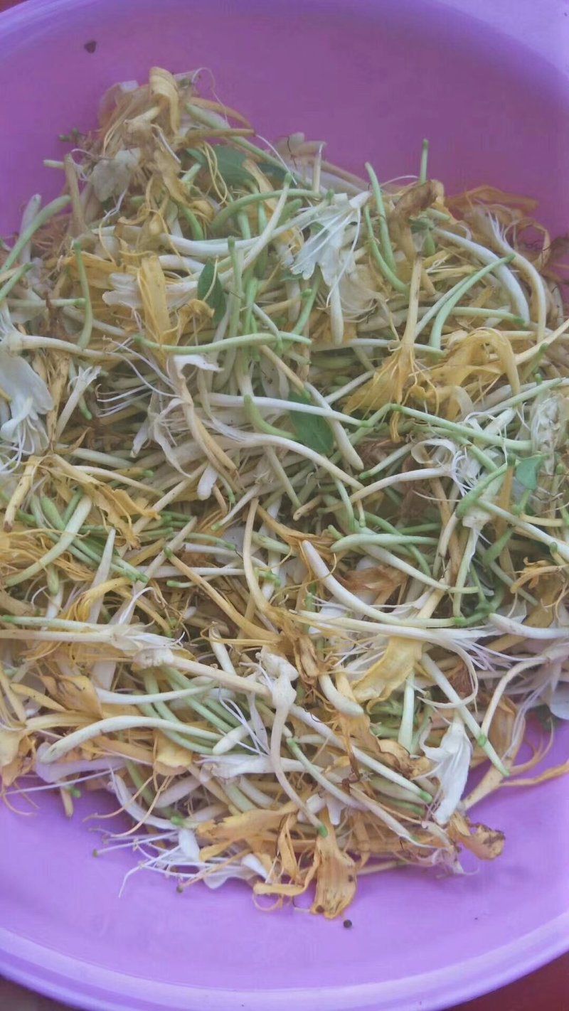 野生金银花