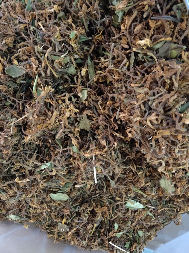 野生金银花