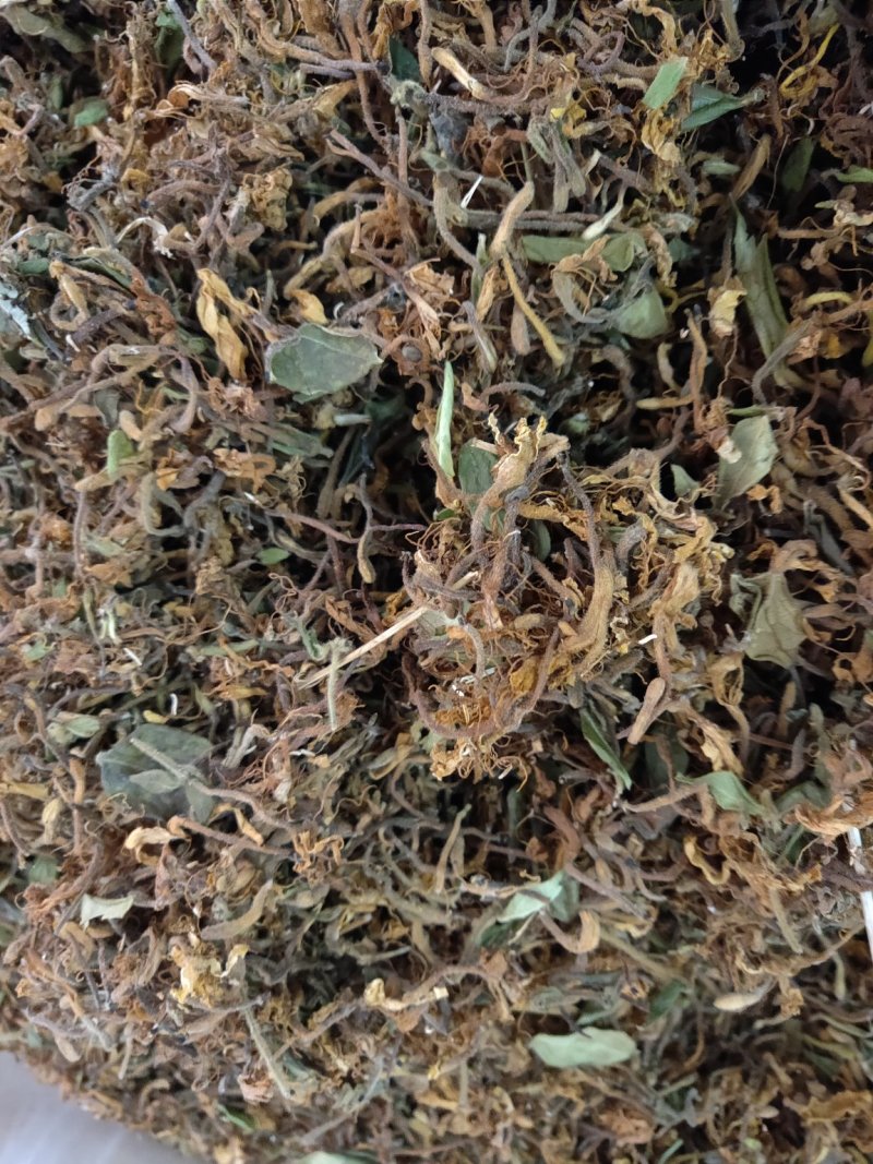 野生金银花