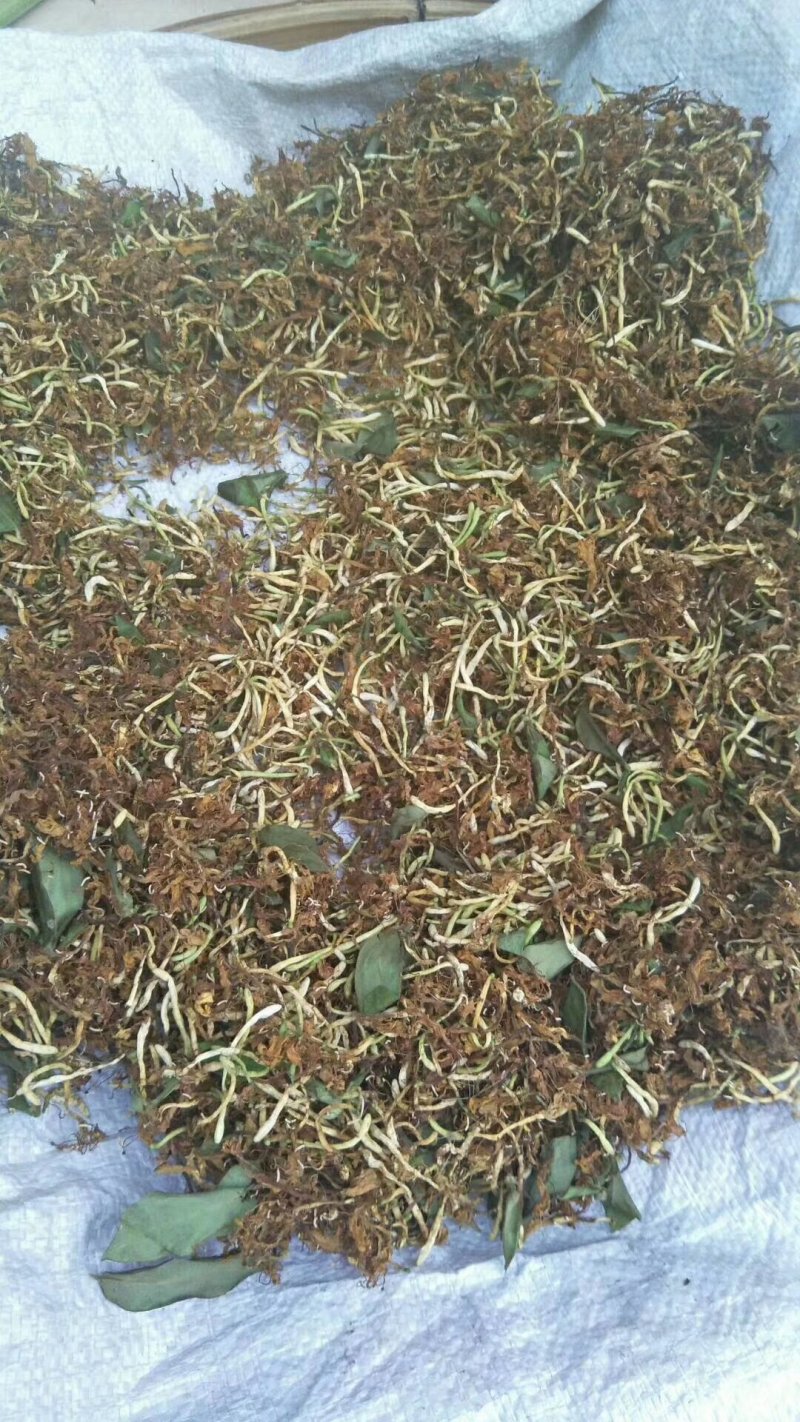 野生金银花
