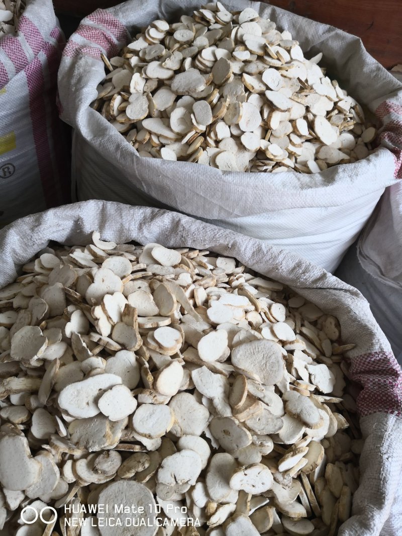 天花粉河北产地直销各种规格量大从优欢迎选购