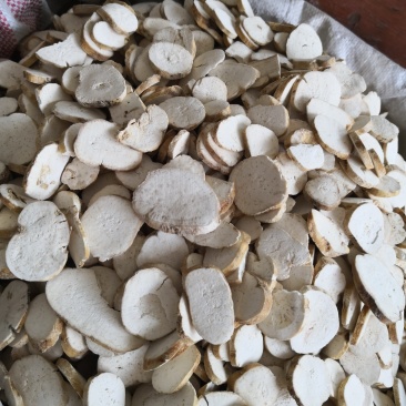 天花粉河北产地直销各种规格量大从优欢迎选购