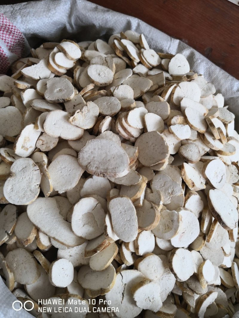 天花粉河北产地直销各种规格量大从优欢迎选购