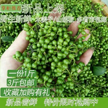 新鲜木姜子山胡椒13.9一斤买3斤包邮