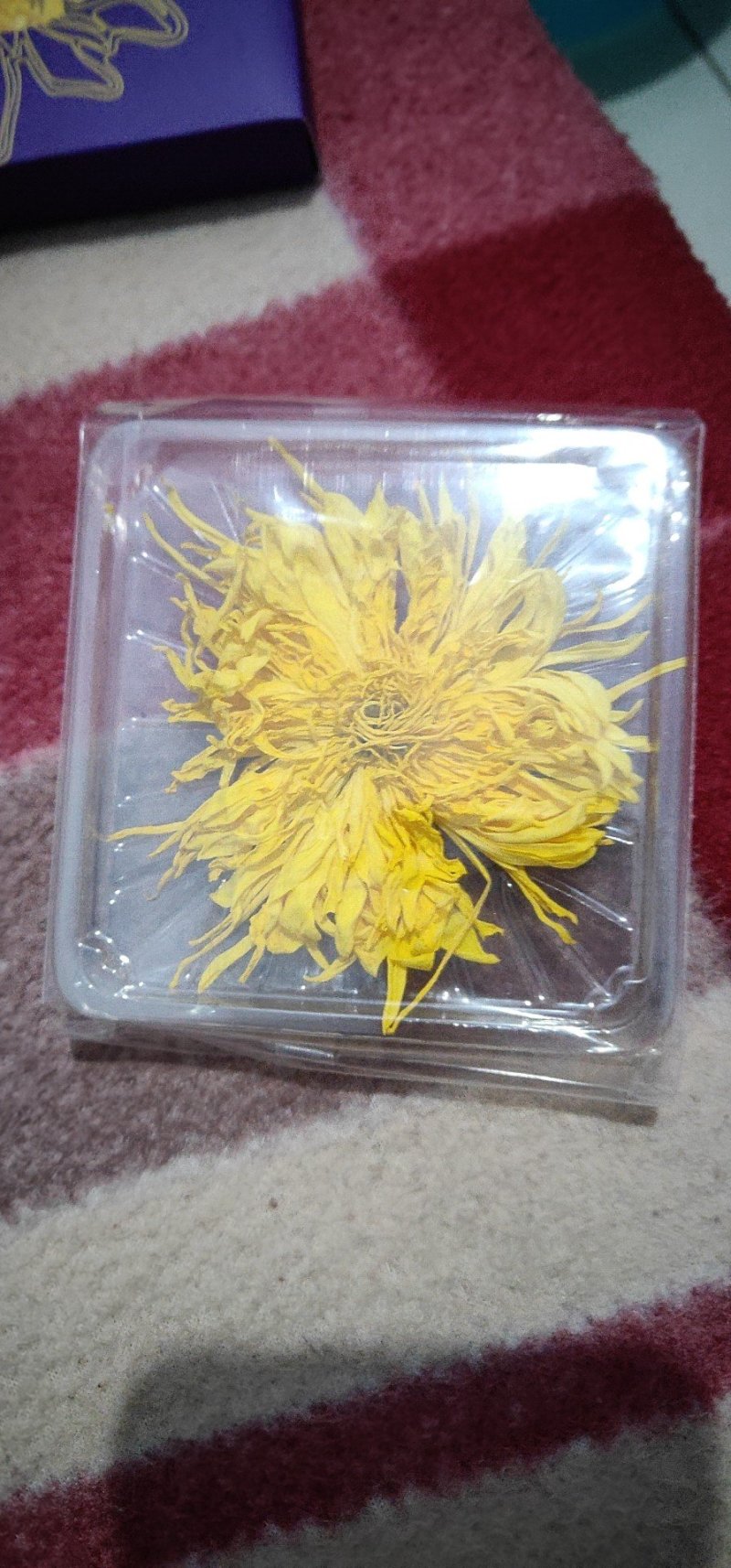 菊花茶