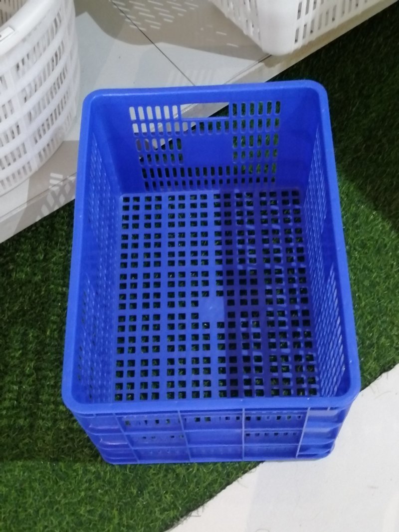 全新塑料蔬菜水果筐厂家批发