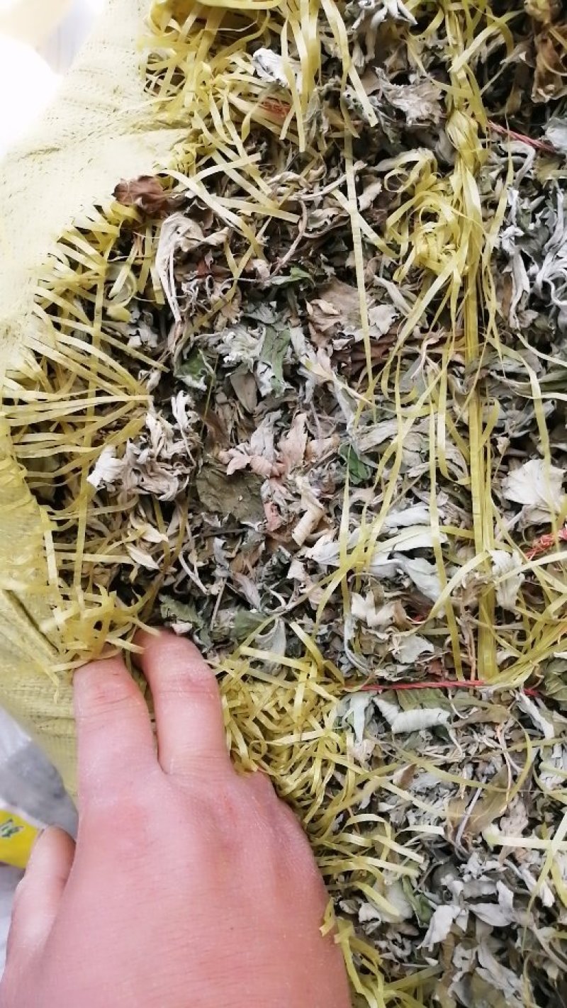纯野生大白艾，亲自动手，只为给客户带来优质产品
