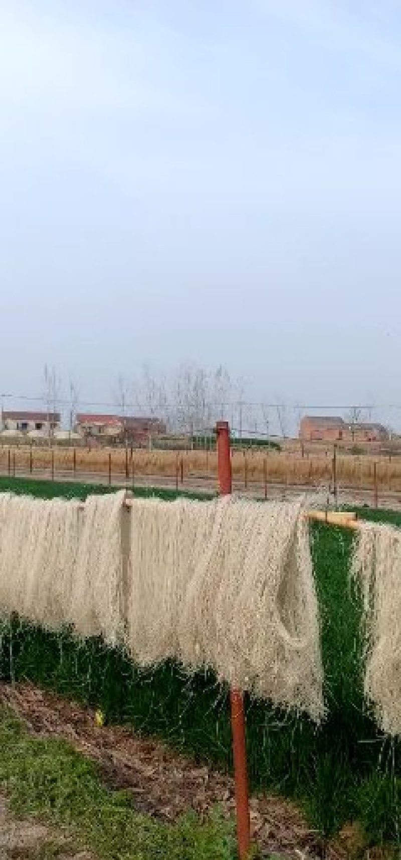 箱子大量批发26元一箱。