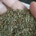 2022年产新，纯新的藏柴胡种子