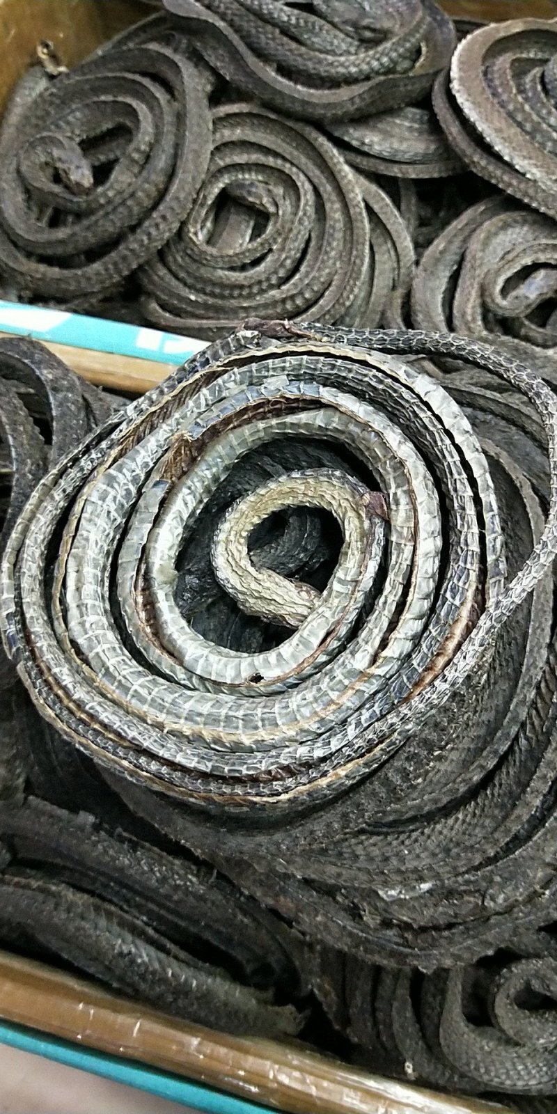 乌梢蛇正品包含量，整盘全开