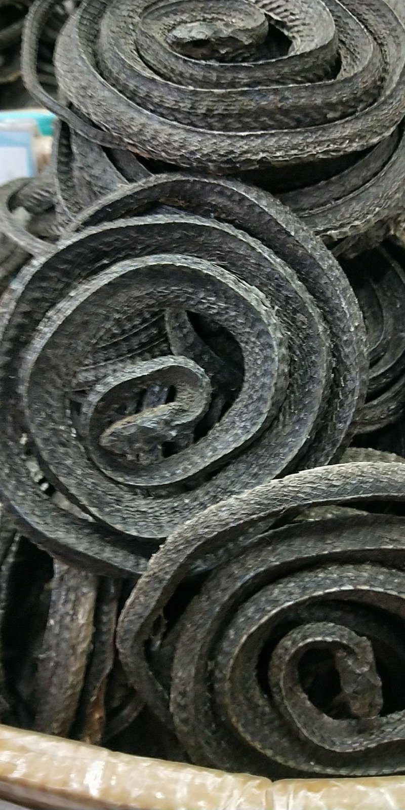 乌梢蛇正品包含量，整盘全开