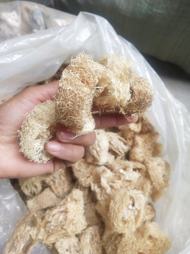 丝瓜络，新货，货干，无霉，无黑，籽少，