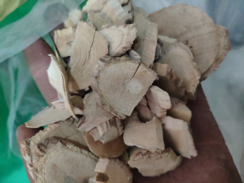 猫人参毛人参猫气藤痈草沙梨藤货好量大代抓各种药