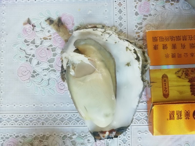 生蚝