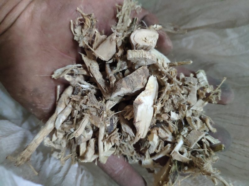 磨盘根拖盘根磨盘草根货好量大不满意保退换