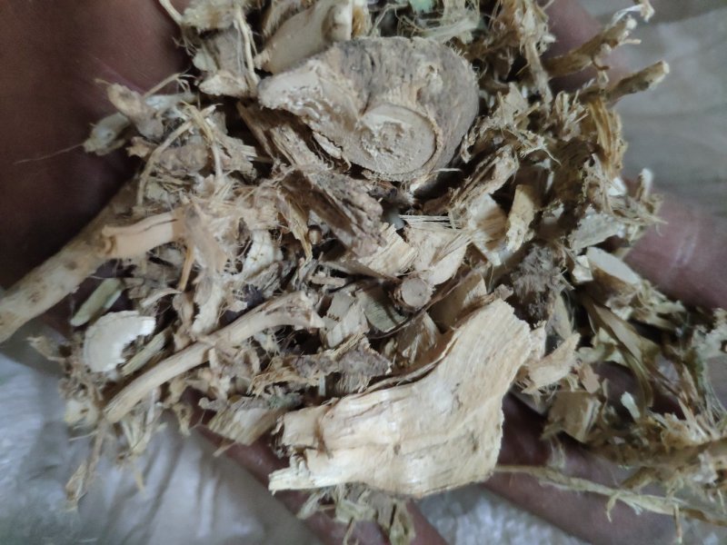 磨盘根拖盘根磨盘草根货好量大不满意保退换