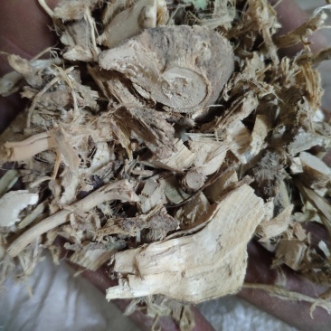 磨盘根拖盘根磨盘草根货好量大不满意保退换
