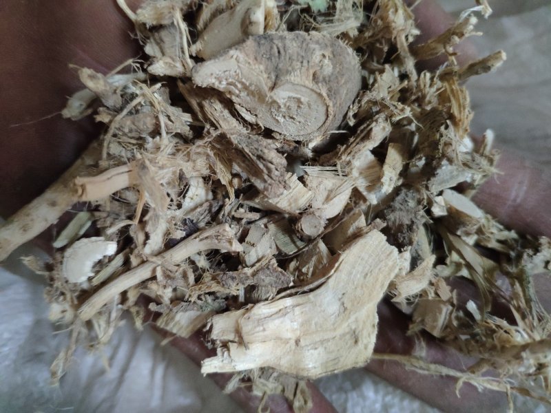 磨盘根拖盘根磨盘草根货好量大不满意保退换