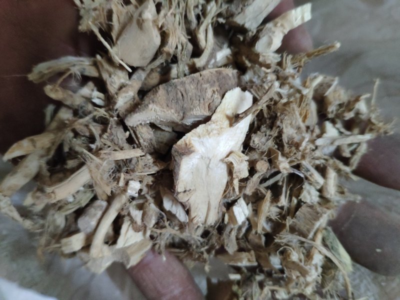 磨盘根拖盘根磨盘草根货好量大不满意保退换