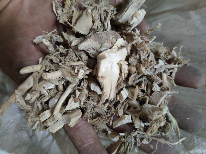 磨盘根拖盘根磨盘草根货好量大不满意保退换