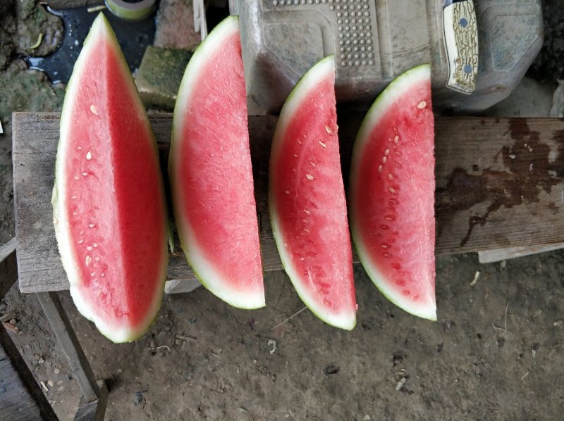 麒麟西瓜，美都西瓜6斤起步，颜色好，口感甜