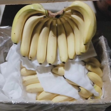 香蕉