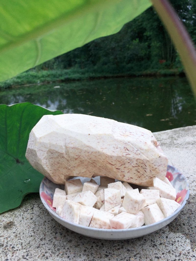 棕子纯手工农家香芋肉棕天然健康食材棕子
