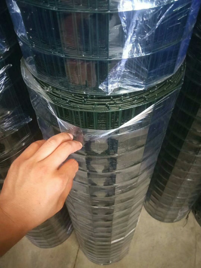 现货供应6厘米孔硬塑荷兰网铁丝网围栏网量大优惠