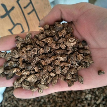胡黄连，胡连，西藏胡黄连批发零售，量大从优