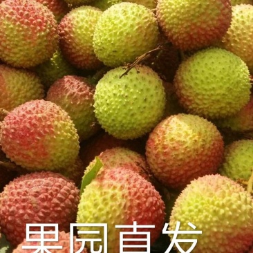 妃子笑荔枝20个/斤