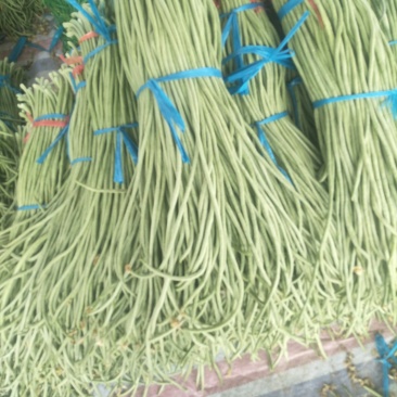 长豆角大量供应货量充足。大量上市