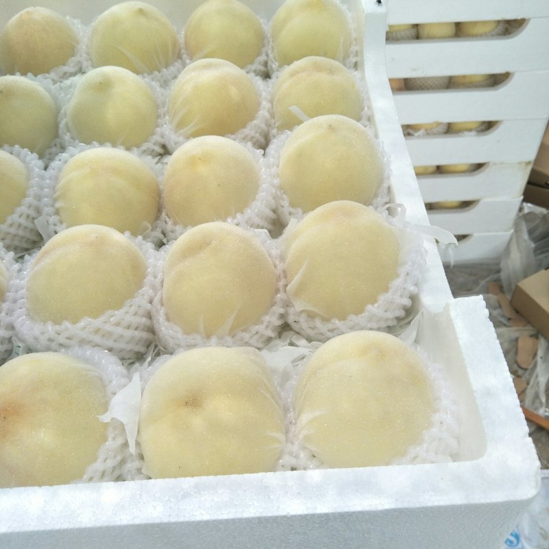 新沂精品水蜜桃量大优惠