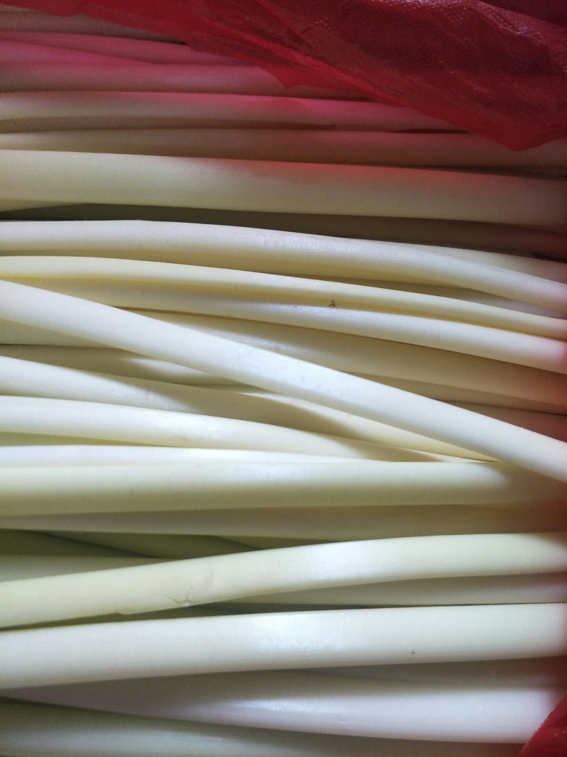 微山湖野生蒲菜，