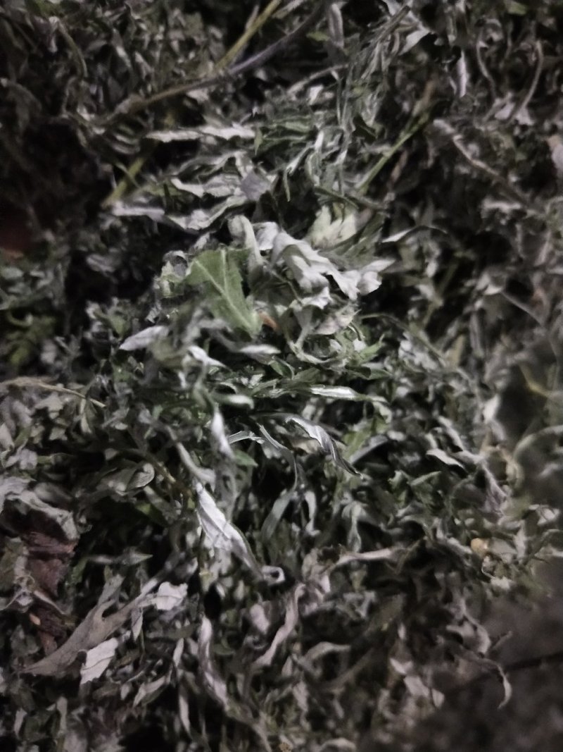 小艾