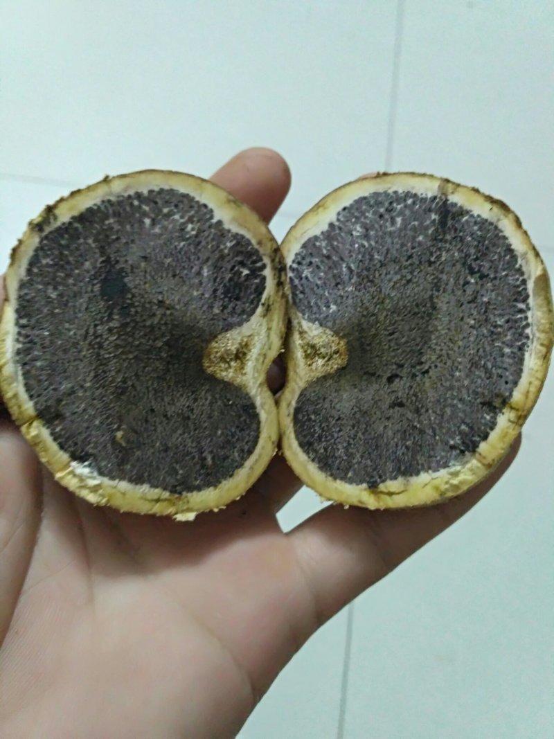 马勃