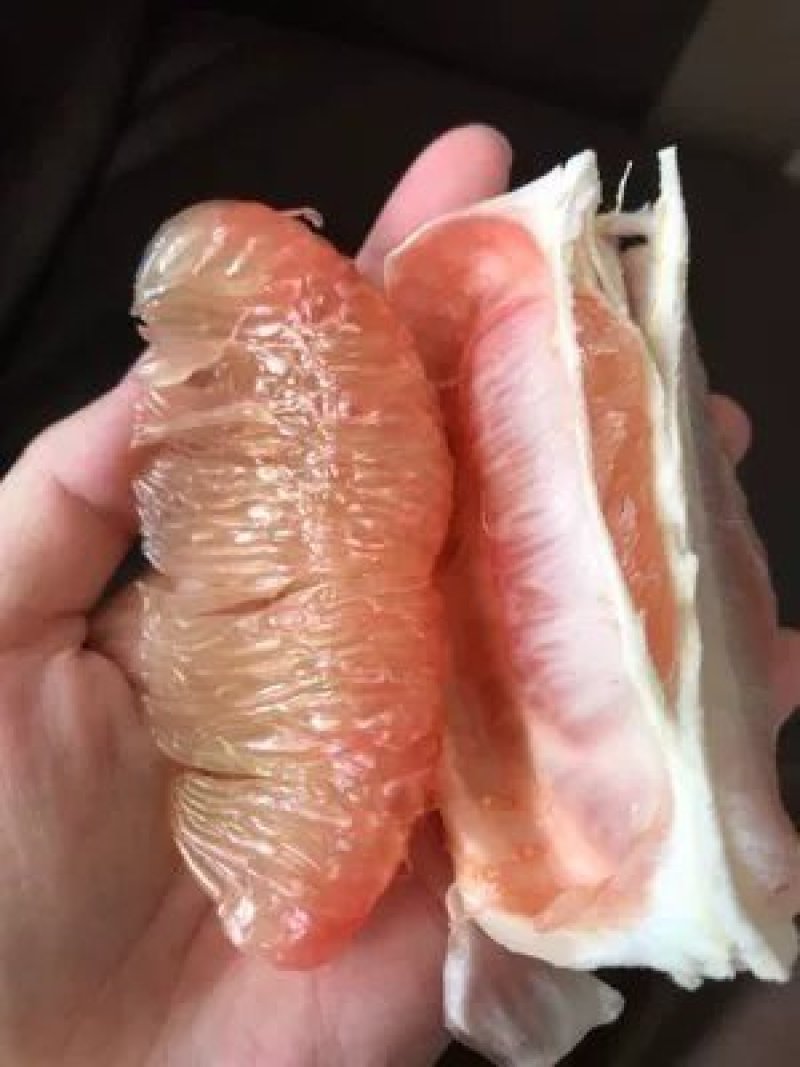 青皮柚苗红宝石柚子三红蜜柚