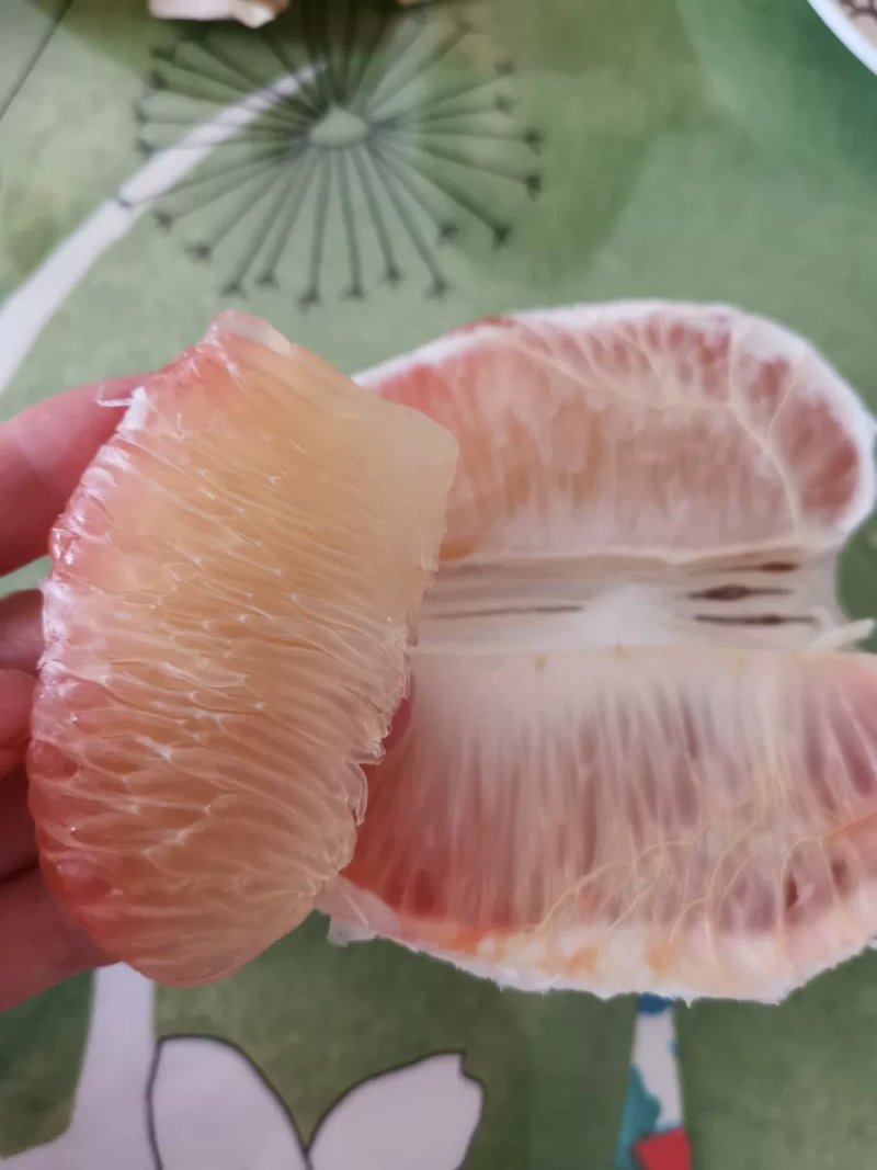 青皮柚苗红宝石柚子三红蜜柚