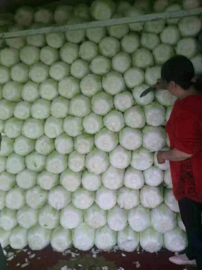 黄心白菜，精品玲珑黄，精品白菜